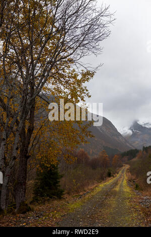 Eine Spur in Urkedalen, Møre og Romsdal, Norwegen Stockfoto