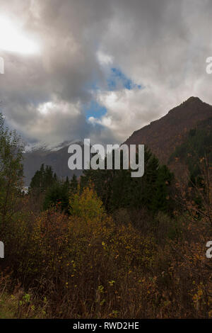 Herbst Farbe in Urkedalen, Møre og Romsdal, Norwegen Stockfoto