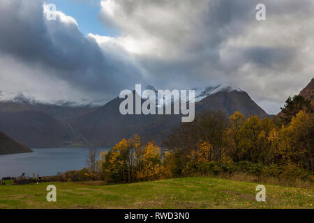 Herbst Farbe in Urkedalen, Møre og Romsdal, Norwegen Stockfoto