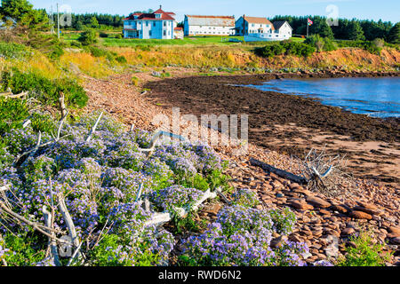 Doyles Cove, Gulf Shore Parkway West, Prince Edward Island National Park, Kanada Stockfoto