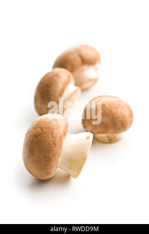 Frische champignon Pilze auf weißem Hintergrund. Stockfoto