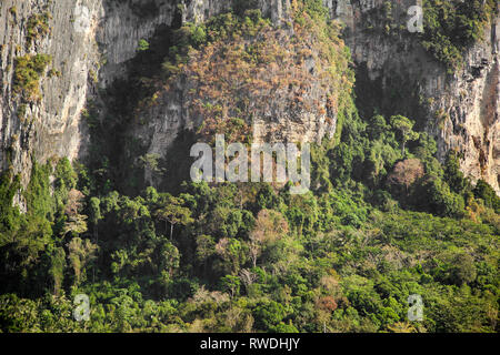 Aonang, Krabi, Thailand, karst Hügel mit Wald bedeckt Stockfoto