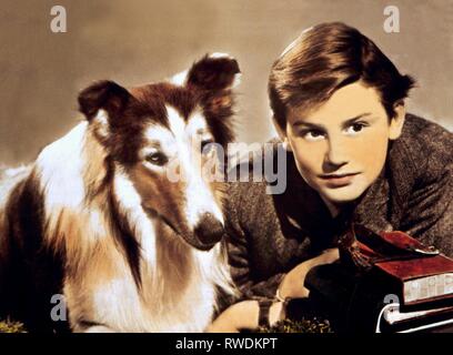 LASSIE, MCDOWALL, LASSIE COME HOME, 1943 Stockfoto