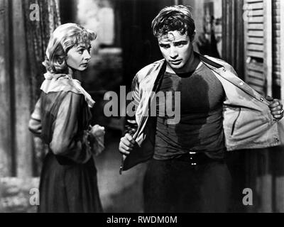 LEIGH, BRANDO, eine Endstation Sehnsucht, 1951 Stockfoto