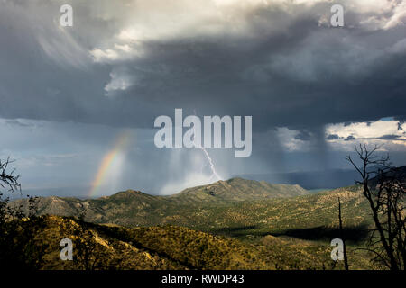 Riesige Sturm über die Chiricahua Berge von Arizona mit Blitz und Regenbogen Stockfoto