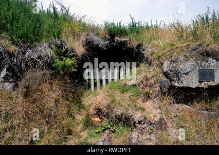 Plakette und Zaun markiert den Eingang zum Geburtstag Quartz Reef. Dies gab Anlass zu Gold Bergbau in der Region und die Stadt Waiuta. Stockfoto