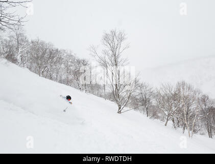 Skifahrer in blaue Jacke und rot-orange brille verwandelt sich in tiefen Pulver beim Skifahren auf Niseko Mountain in Hokkaido, Japan. Stockfoto