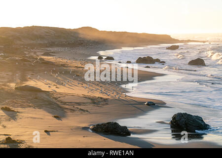 San Simeon, Kalifornien - schönen Sonnenaufgang werfen Licht auf die Küste Kaliforniens, wo riesige Seeelefanten am Strand lag. Stockfoto