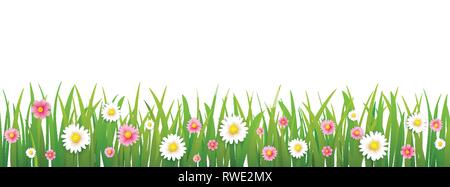 Hallo Frühling Blumen mit Gras isoliert Hintergrund. Stock Vektor