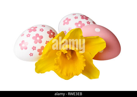 Ostereier mit gelben Narzisse Blume auf Weiß. Image Beschneidungspfad Stockfoto