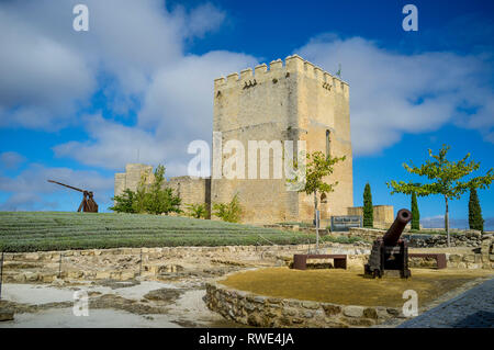 In Alcala la Real Schloss, zeigt die Alcazaba Tower, Lavendel Garten, trebuchet und Cannon defensive Waffen, Provinz Jaen, Analusia, Spanien. Stockfoto