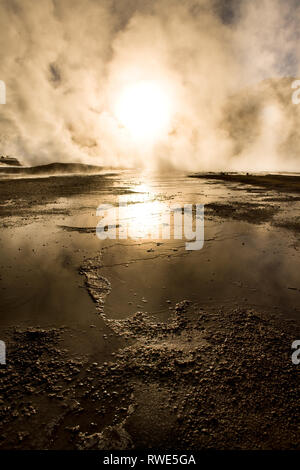 Sonnenaufgang hinter Fumarolen, auf einer Höhe von 4300 m über dem Meeresspiegel, El Tatio Geysire, Atacama-wüste, Antofagasta Region, Chile, Südamerika Stockfoto