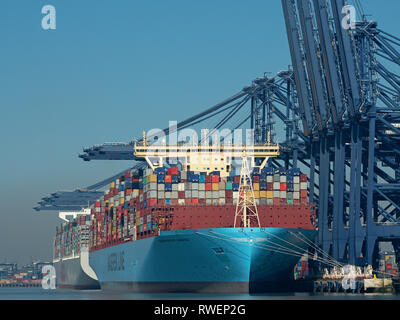 Mega Containerschiffen neben "Hafen von Felixstowe ''River Orwell' Suffolk, England, Vereinigtes Königreich Stockfoto