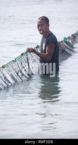 Rauchen Fischer ziehen Net von Sea-antik, Philippinen Stockfoto