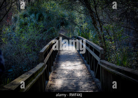 Brücke in einen Park in Florida Stockfoto