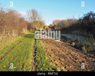 Gras Fußweg neben Pocklington Canal in East Yorkshire, England, an einem sonnigen Tag Stockfoto