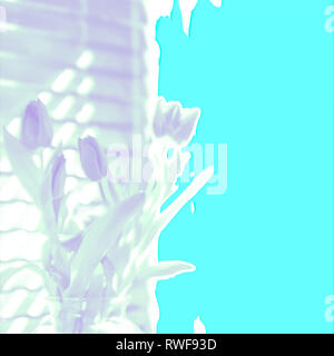 Soft Focus lila Aqua abstrakte Tulpen Frühling Hintergrund Stockfoto