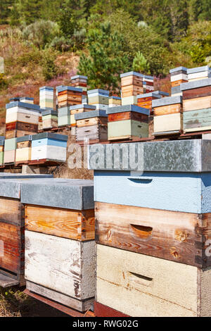 Bienenstöcke. Traditionelle bunte Holzkiste. Muniellos, Asturien, Spanien. Vertikale Stockfoto