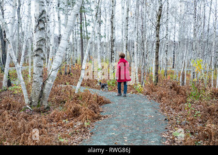 Dame im roten Mantel wandern Hund auf Trail im Kivi Park, Sudbury, Ontario. Stockfoto