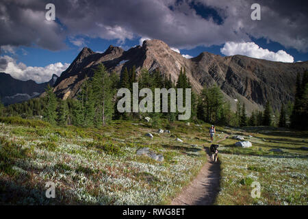 Wandern im Jumbo Pass, BC, Jumbo, Kabine Stockfoto