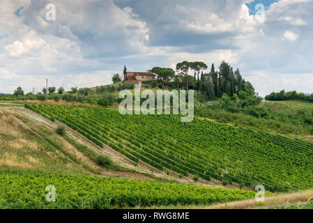 CERALDO, Toskana/Italien, 20. JUNI 2018: Weinberge und Olivenhaine in der italienischen Toskana Provinz. Stockfoto