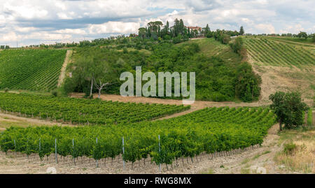 CERALDO, Toskana/Italien, 20. JUNI 2018: Weinberge und Olivenhaine in der italienischen Toskana Provinz. Stockfoto