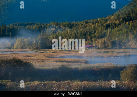 Sonnenaufgang und Nebel über Creston Valley, BC, Creston, Wildlife Center, Kanada Stockfoto