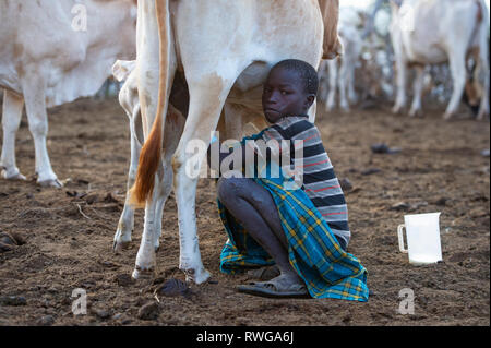 Karamojong junge Melken eine Kuh im Dorf, im Norden Ugandas Stockfoto