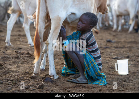 Karamojong junge Melken eine Kuh im Dorf, im Norden Ugandas Stockfoto