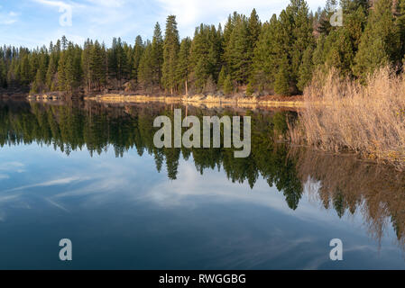 Bäume spiegeln sich in den See Britton in McArthur Burney Falls Memorial State Park, Kalifornien, USA Stockfoto