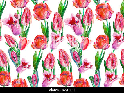Tulip nahtlose Muster. Aquarell einen Blumenstrauß der Feder rot rosa Tulpen auf weißem Hintergrund Stockfoto