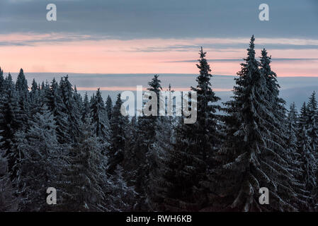 Schöne Sicht auf die Berge Wald bei Sonnenuntergang im Winter Stockfoto