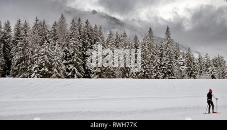 Ein einsamer Cross Country skier gleitet über einen verschneiten Alpenlandschaft. Die Bäume, Berge und Masse sind in schweren frischen Schnee bedeckt. Stockfoto