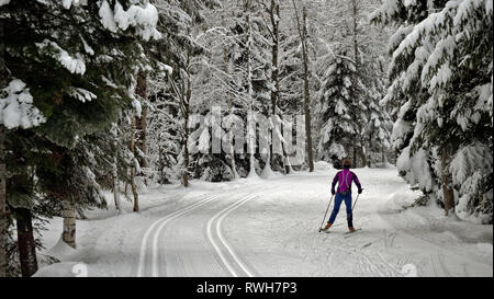 Ein einsamer Cross Country skier gleitet über einen verschneiten Alpenlandschaft. Die Bäume, Berge und Masse sind in schweren frischen Schnee bedeckt. Stockfoto
