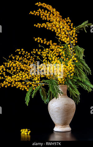 Gelben Mimosen, Blumen in einer Vase aus Keramik auf einem Schwarzen Tisch Stockfoto