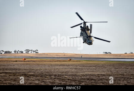 Boeing CH-47 Chinook Hubschrauber, die nach dem Fallen der Boden. Stockfoto