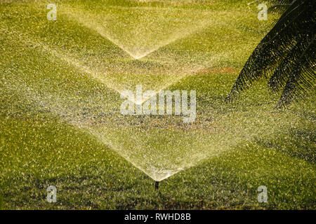 Bewässerung Bewässerung System mit Sprinklern Bewässerung grünes Gras an einem sonnigen Tag Stockfoto