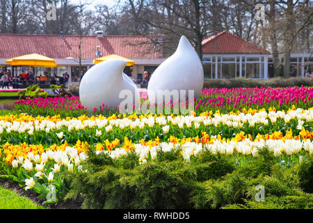 Lisse, Niederlande - 4 April 2016: Bunte Tulpen Blumenbeete im Keukenhof spring garden, Holland Stockfoto