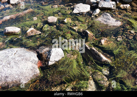 Panorama von Pirin Nationalpark. Fluss im Nationalpark Pirin, Bulgarien Stockfoto