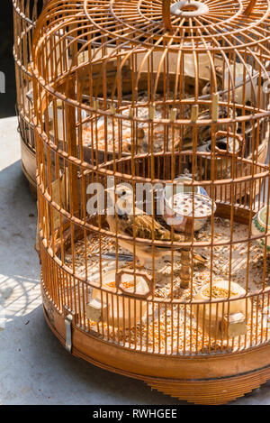 Selektiver Fokus auf einen Vogel in einem reich verzierten hölzernen Käfig an der Hong Kong Bird Market, Yuen Po Street Bird Garden, Mong Kok, Hong Kong Stockfoto