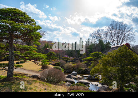 Traditionelles Haus, spring garden im antiken Oshino Hakkai Dorf in der Nähe von Mt. Fuji, Fuji fünf See Region, Bezirk Minamitsuru, Yamanashi Präfektur, Ja Stockfoto