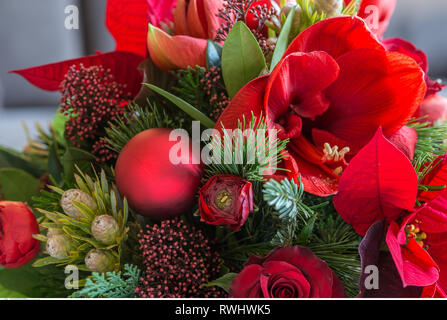 Botanik, winter Bouquet mit roten Amaryllis, Vorsicht! Für Greetingcard-Use/Postcard-Use in deutschsprachigen Ländern gibt es einige Einschränkungen Stockfoto