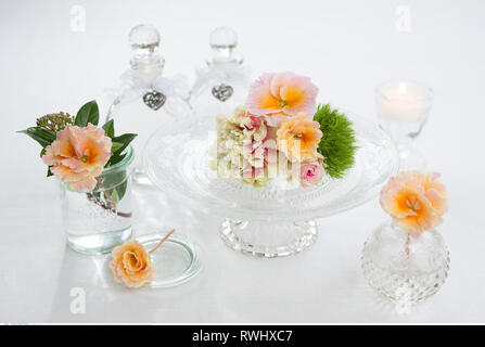 Botanik, polyanthrus Blüten auf nostalgische gl, Vorsicht! Für Greetingcard-Use/Postcard-Use in deutschsprachigen Ländern gibt es einige Einschränkungen Stockfoto