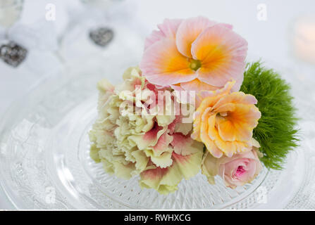 Botanik, polyanthrus Blüten auf nostalgische gl, Vorsicht! Für Greetingcard-Use/Postcard-Use in deutschsprachigen Ländern gibt es einige Einschränkungen Stockfoto