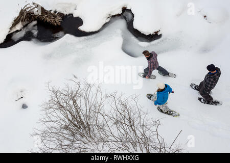 Eine Gruppe von Freunden (alle Ende 30) Schneeschuhwandern entlang einem Bach im Winter. Mont Tremblant, Quebec, Kanada Stockfoto