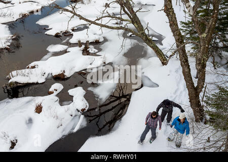 Eine Gruppe von Freunden (alle Ende 30) Schneeschuhwandern entlang einem Bach im Winter. Mont Tremblant, Quebec, Kanada Stockfoto