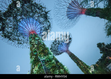 Asien, Singapur, Gärten an der Bucht Stockfoto