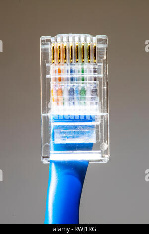 Internet-Anschluss, RJ45-Stecker, LAN-Kabel, Patchkabel, Ethernet, Stockfoto