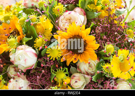 Botanik, Spätsommer runde gebunden Bündel, Vorsicht! Für Greetingcard-Use/Postcard-Use in deutschsprachigen Ländern gibt es einige Einschränkungen Stockfoto