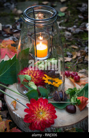 Botanik, Laterne herbstliche Ornament, Vorsicht! Für Greetingcard-Use/Postcard-Use in deutschsprachigen Ländern gibt es einige Einschränkungen Stockfoto